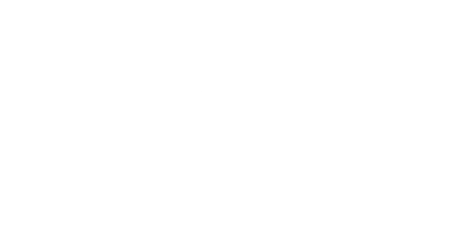 light logo